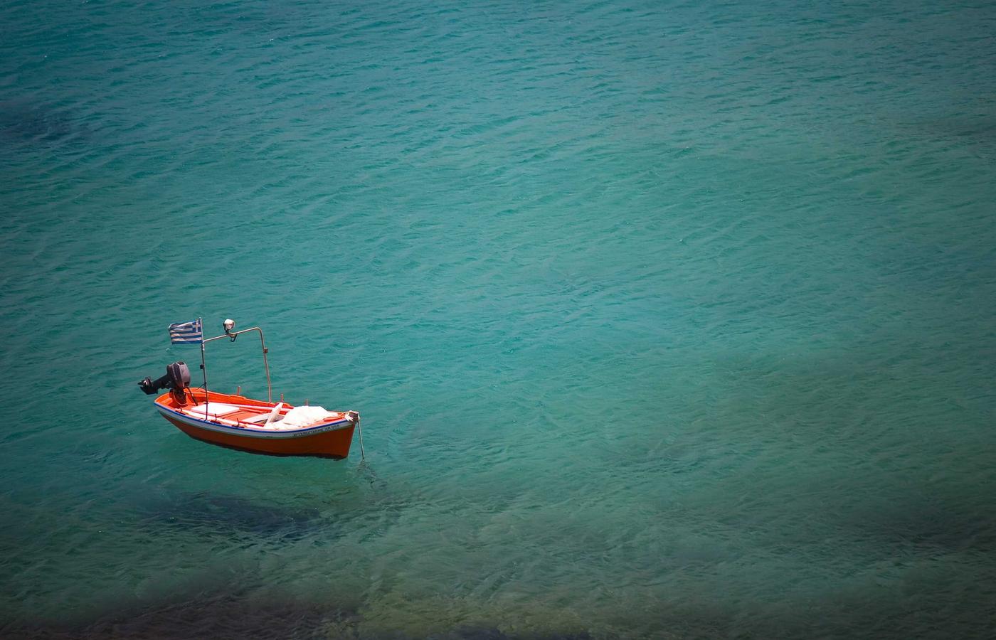 Un grupo diverso de profesionales celebrando un logro o éxito en su proyecto